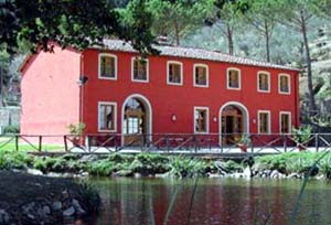 Italy - Tuscany 6-Bedroom Villa