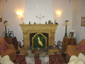 Fireplace & Chimney