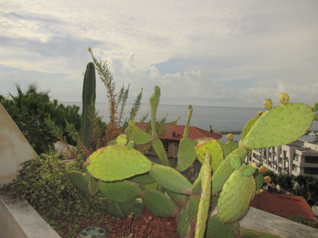Menton, Roquebrune Cap Martin Garavan French Riviera 1-Bedroom Apartment